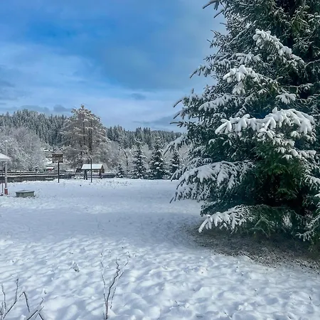 Котедж Шум Черемоша На Березі Річки Verkhovyna Exterior photo